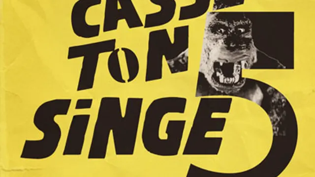 Casse Ton Singe 5
