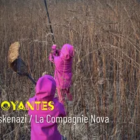 Froudroyantes