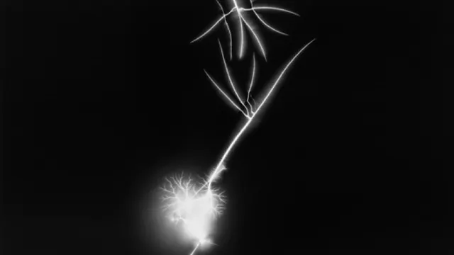 Aujourd'hui le monde est mort - Hiroshi Sugimoto