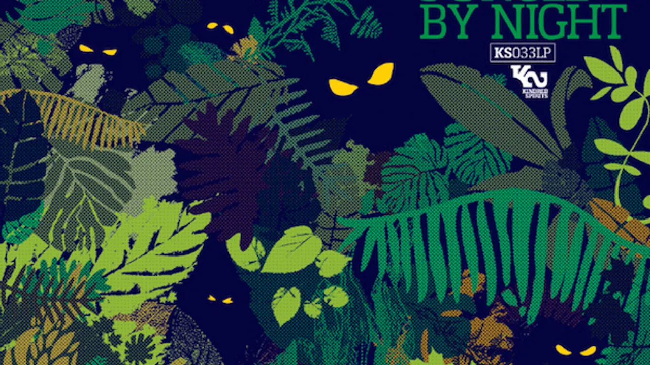 Jungle by night + The Afrorockerz / black summer festival 2015