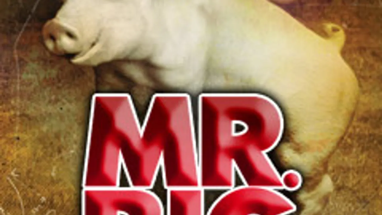 Mr BIG