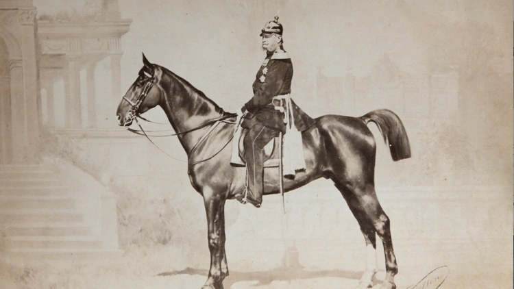 Voilà les Delton