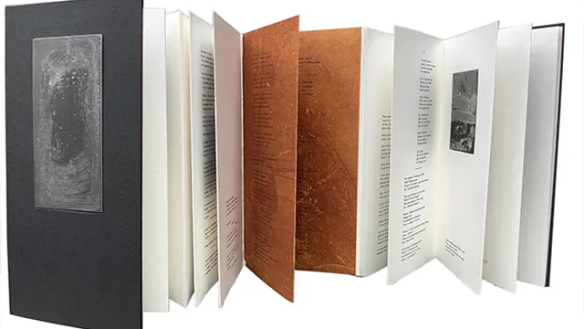 Salon PAGE(S livres d'artistes