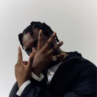 Novelist