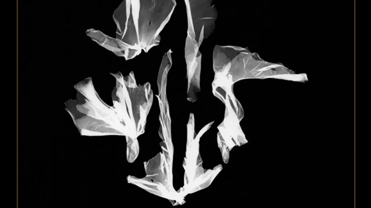 Exposition LES EAUX SOMBRES