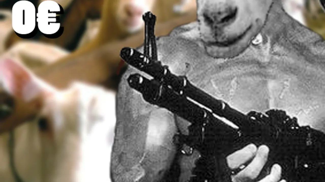Goat It's You!!!