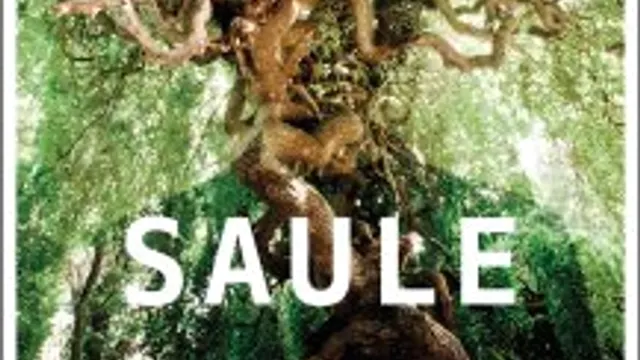 Saule + 1ère partie