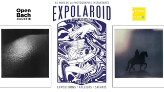 Expolaroid 2022, Yellow Cube Gallery x Open Bach Galerie