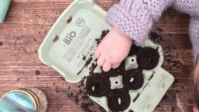 Atelier Enfant : Petit potager