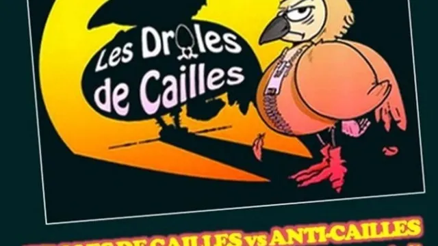 Match d'Impro - Les Drôles de Cailles - 26 Avril 2016