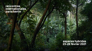 RENCONTRES INTERNATIONALES PARIS/BERLIN New Cinema&Contemporary Art