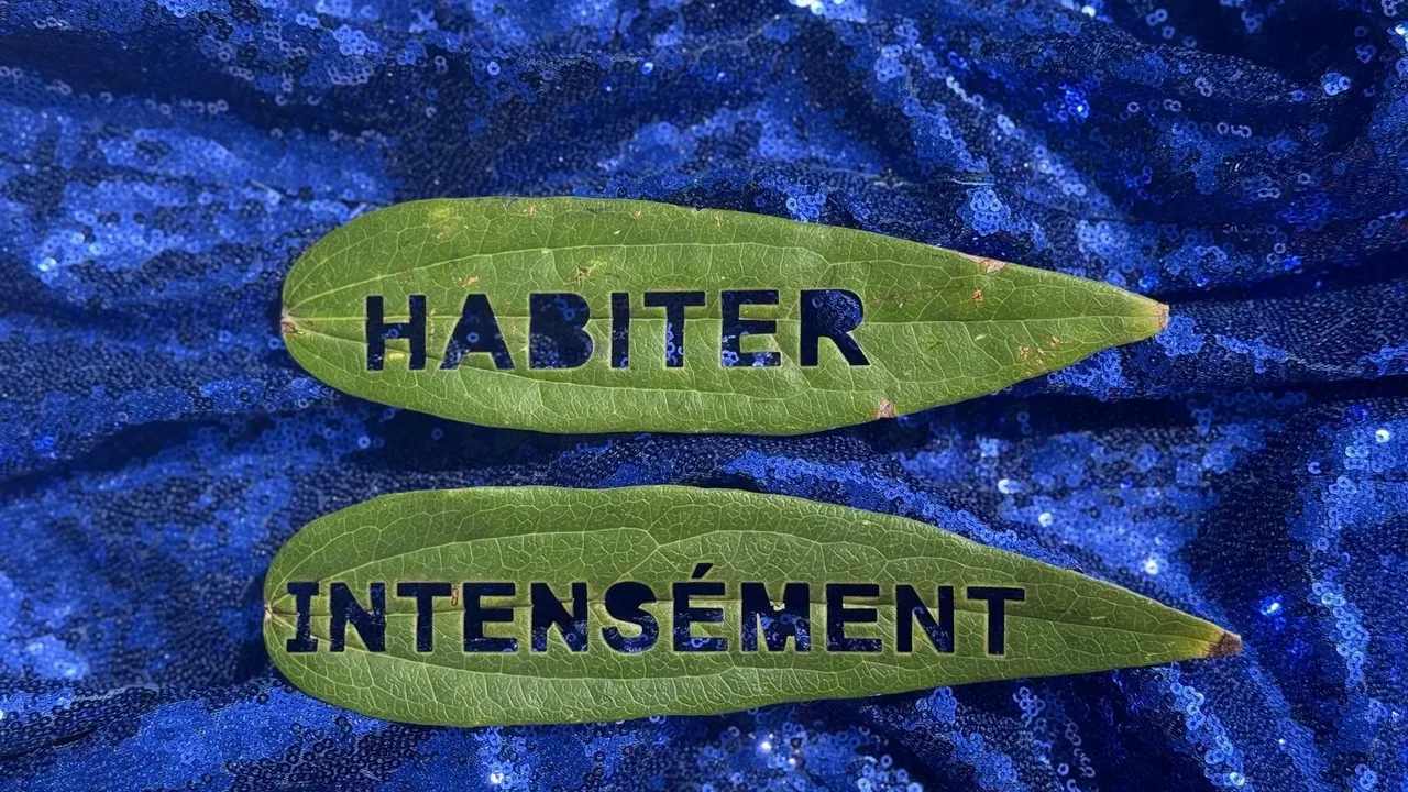 Habiter intensément (CHANTIER DES AUTEUR·ICES)