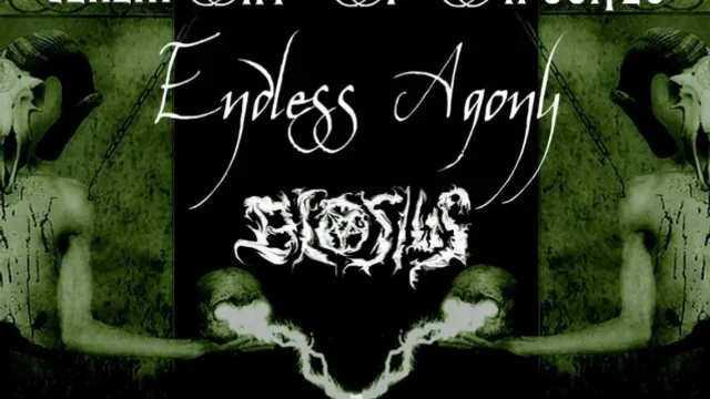 Endless Ceremony Tour ( Part France )