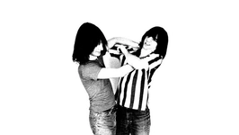 The Lemon Twigs