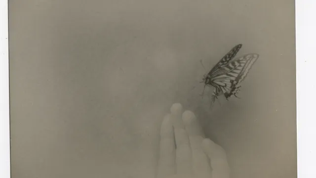 MIHO KAJIOKA DO YOU OPEN YOUR EYES IN THE SEA?