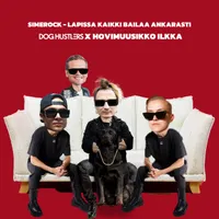 Hovimuusikko Ilkka