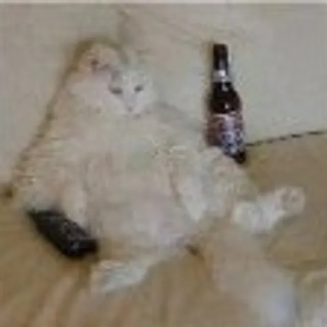 Tom T