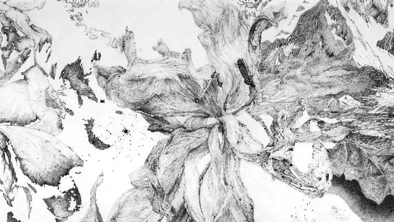 “Sutures” - Encres et fusains de Sandra Ghosn