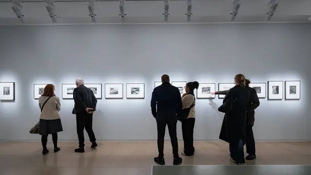 Visite guidée des expositions
