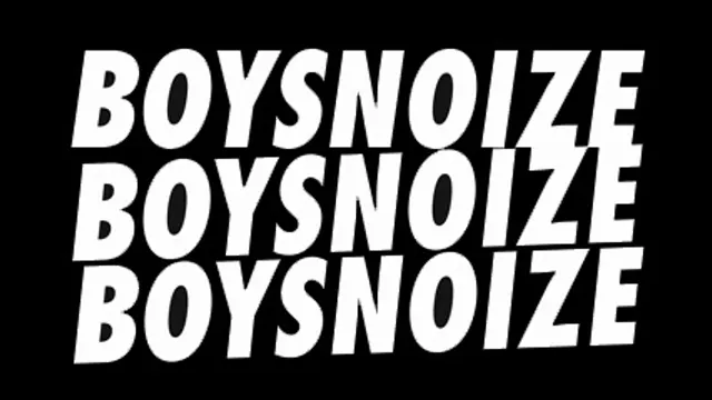 Boysnoize records party