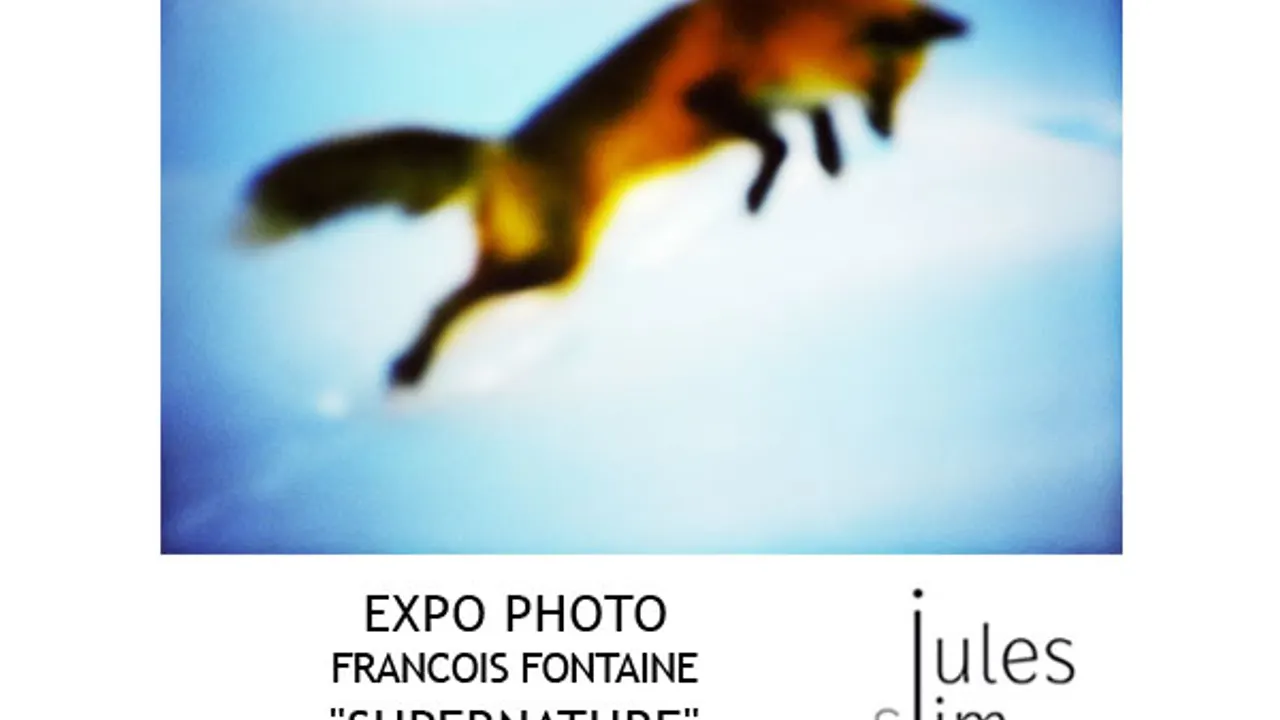 EXPOSITION SUPERNATURE - HOTEL JULES & JIM