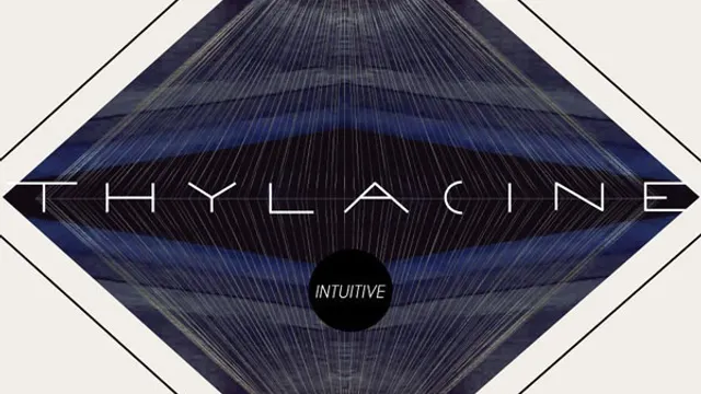Superpoze ( dj set ) + Thylacine en concert
