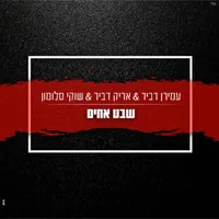 Arik Dvir