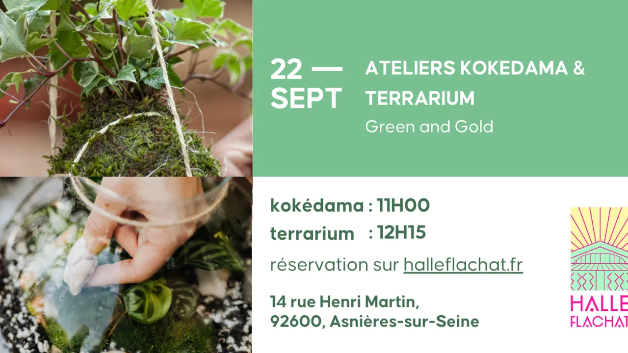 Ateliers kokedama et terrarium - Green and Gold