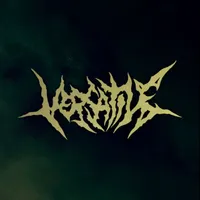 Versatile