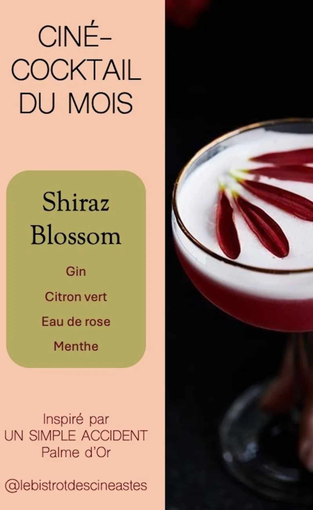 Bistrot des Cinéastes Restaurant Bar Paris