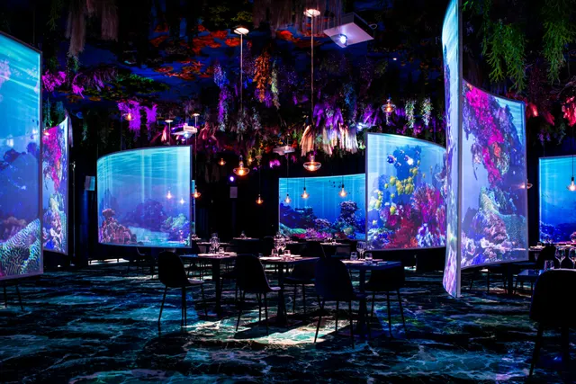 Under the sea