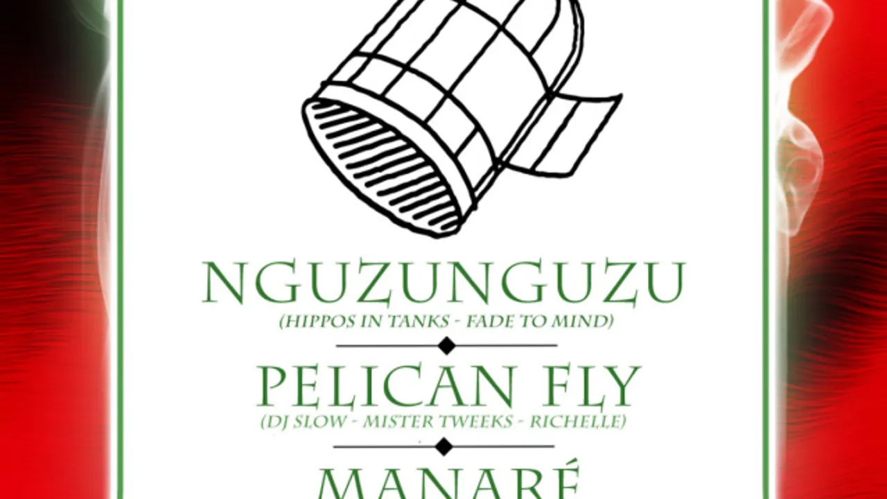 Pelican Fly x 55DSL