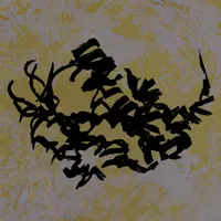 TÜFACHI BEAT