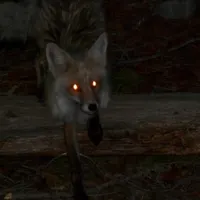 f0xtr0t