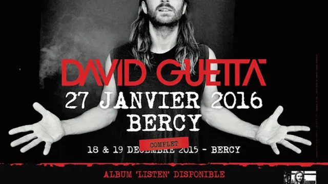 David Guetta en concert