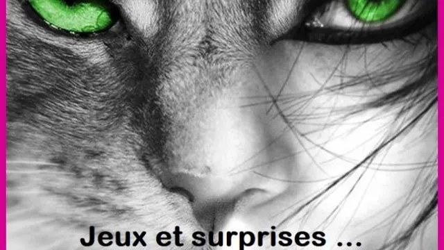 Afterwork Cat's eyes is back !