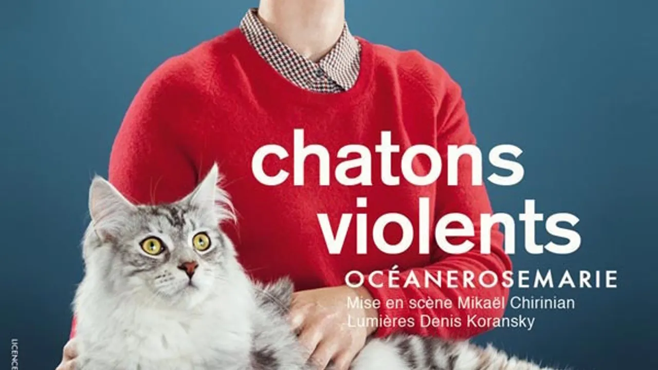 Océanerosemarie : Chatons Violents
