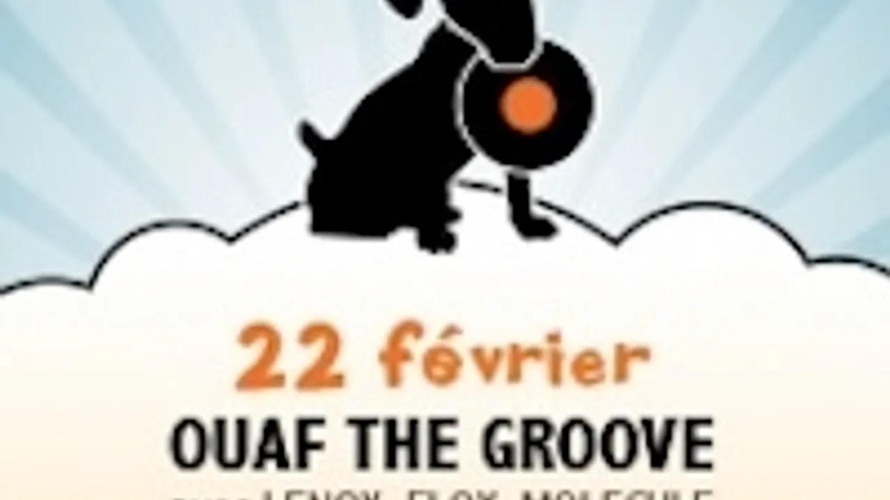 OUAF THE GROOVE AVEC FLOX + LENOX + MOLECULE