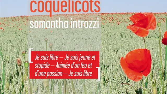 Il existe encore des coquelicots