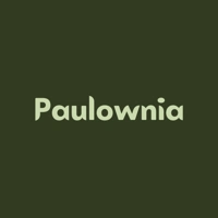 Paulownia