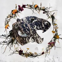 Code Orange