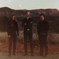 WILD HORSES