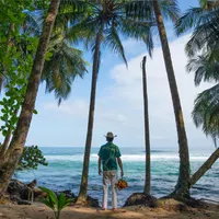Exposition « Palm » de Matt Henry
