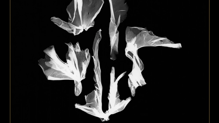 Exposition LES EAUX SOMBRES