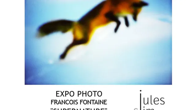 EXPOSITION SUPERNATURE - HOTEL JULES & JIM