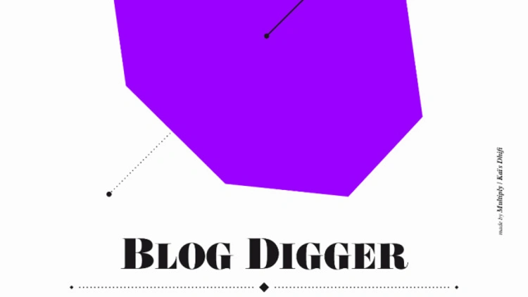 BLOG DIGGER 3