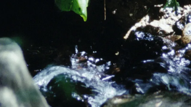 La Source De La Loire Et Autres Films - Rose Lowder