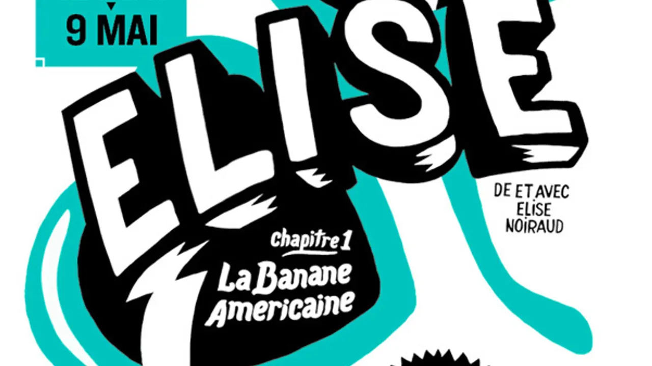 Elise, Chapitre 1 : La banande américaine