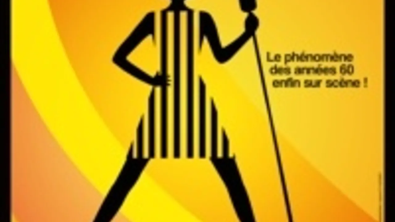 Salut les Copains