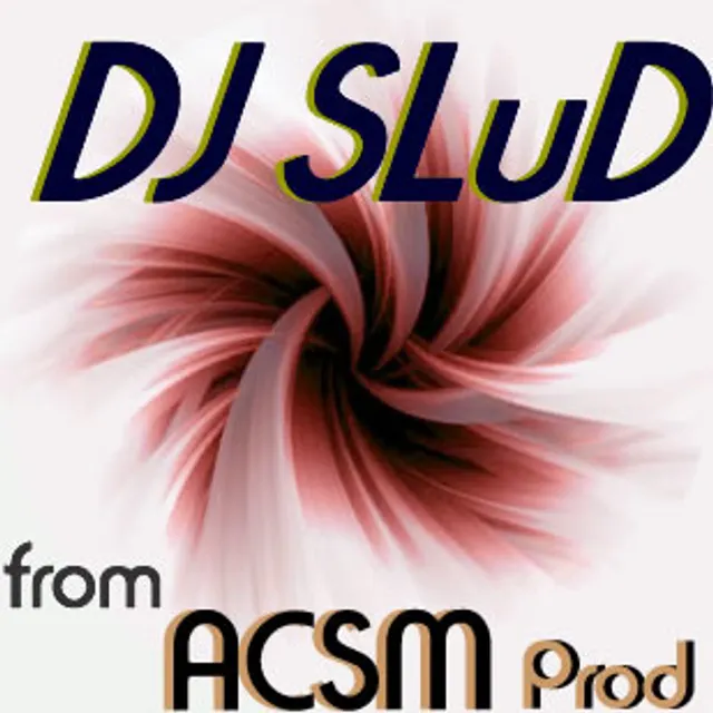 DJ SLuD S